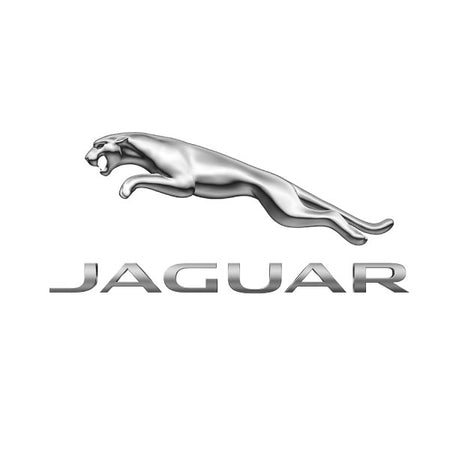 Jaguar Magnetic Sunshades