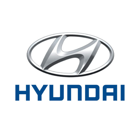 Hyundai Magnetic Sunshades